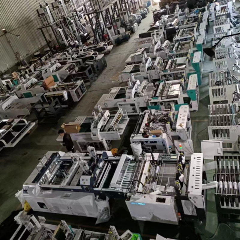 CZ500x2 Automatic High Speed Vest Bag Making Machine